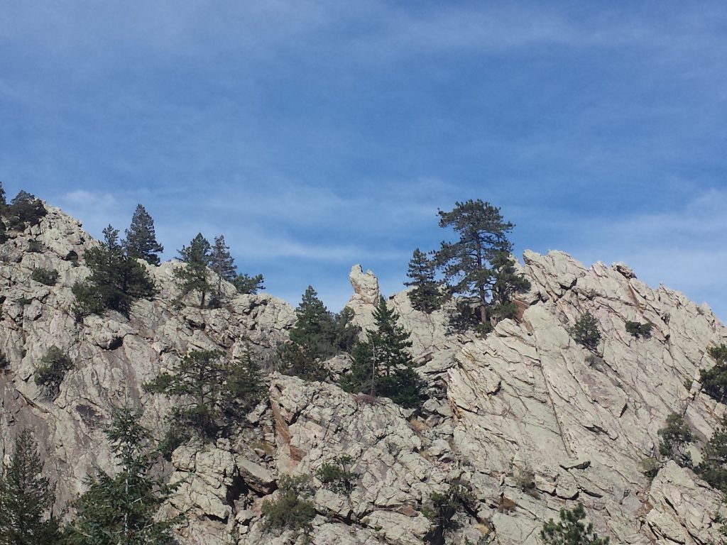 rattlesnake gulch hike