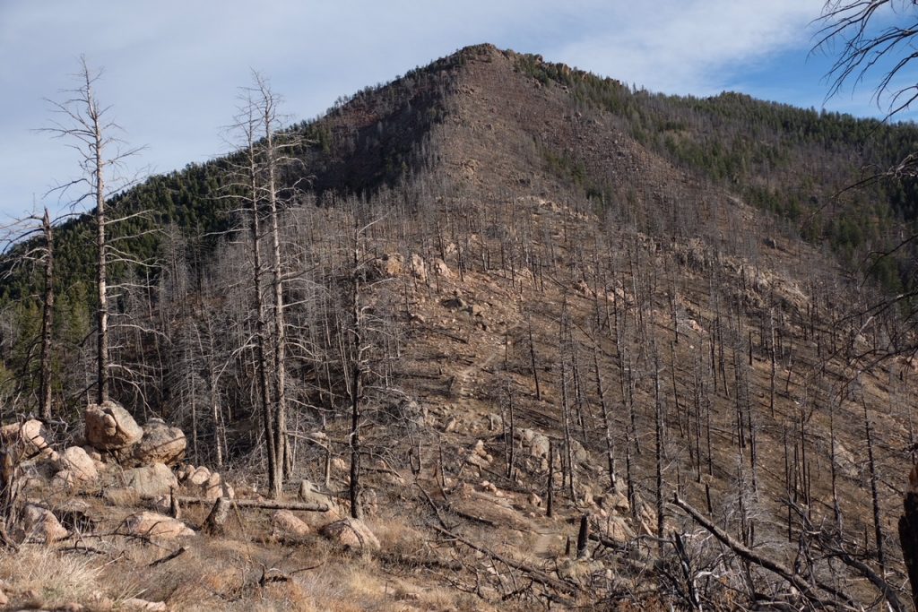 bear peak west ridge trail burn out