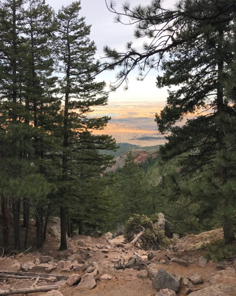 fern canyon trail boulder colorado