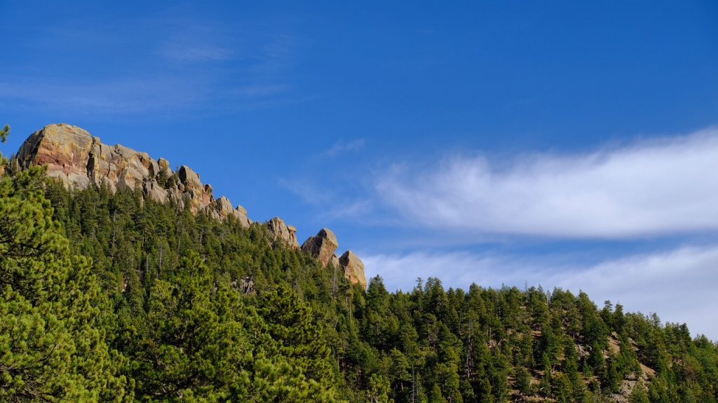 view from green bear trail